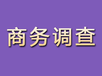 平潭商务调查